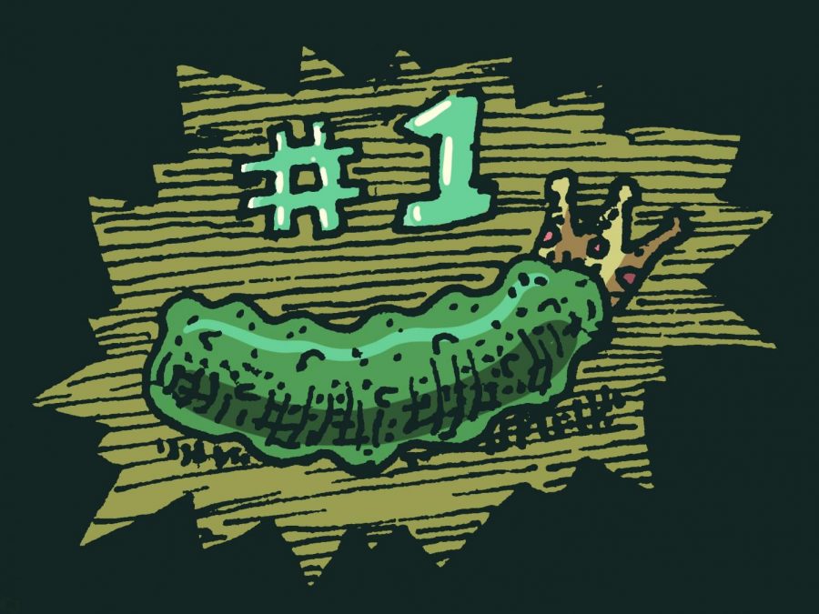 pickle story graphic