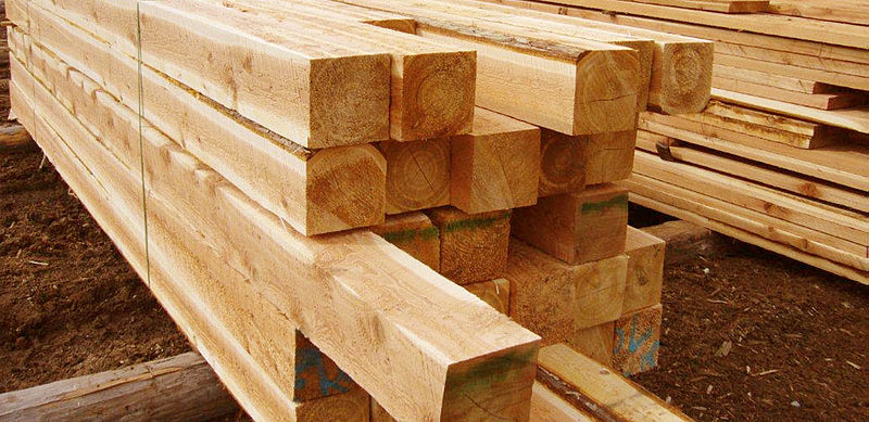 Lumber+Article
