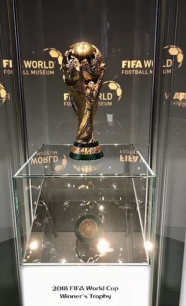 FIFA World Cup Trophy Travel Case – Fact Magazine Qatar