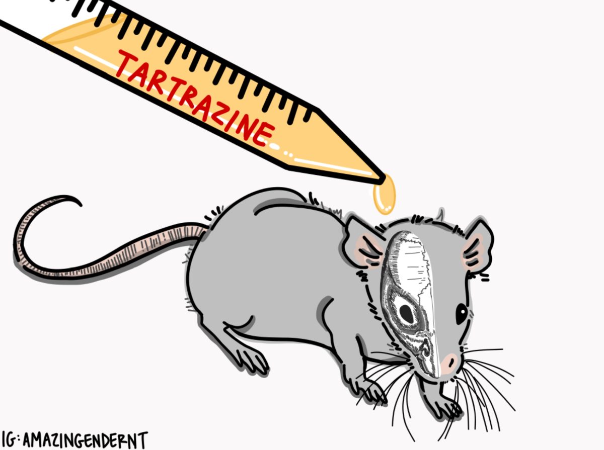 Researchers harness Doritos dye to make mouse skin see-through