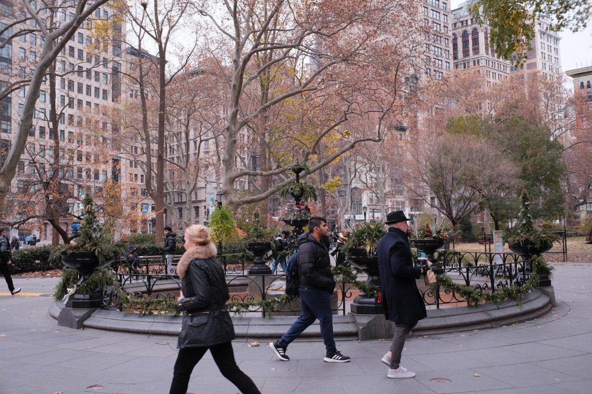 Extreme weather conditions leave NYC green spaces devoid of color