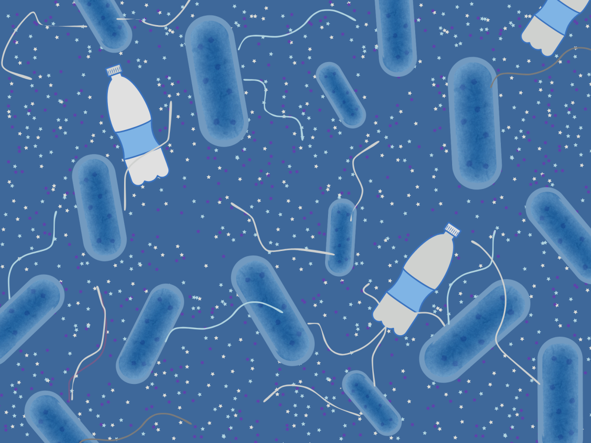 Microplastics’ presence might enhance antibiotic resistance in bacteria cells