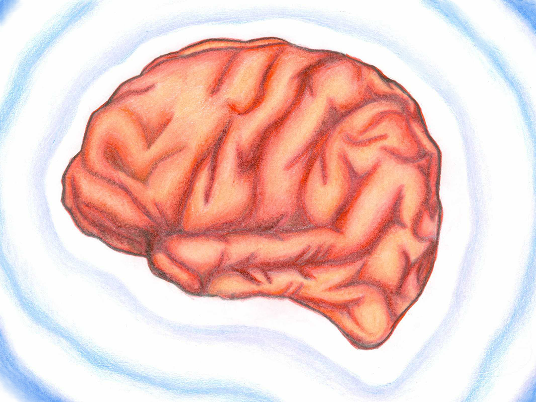 Bench to Bedside: How a leaky brain barrier may fuel AD and ALS