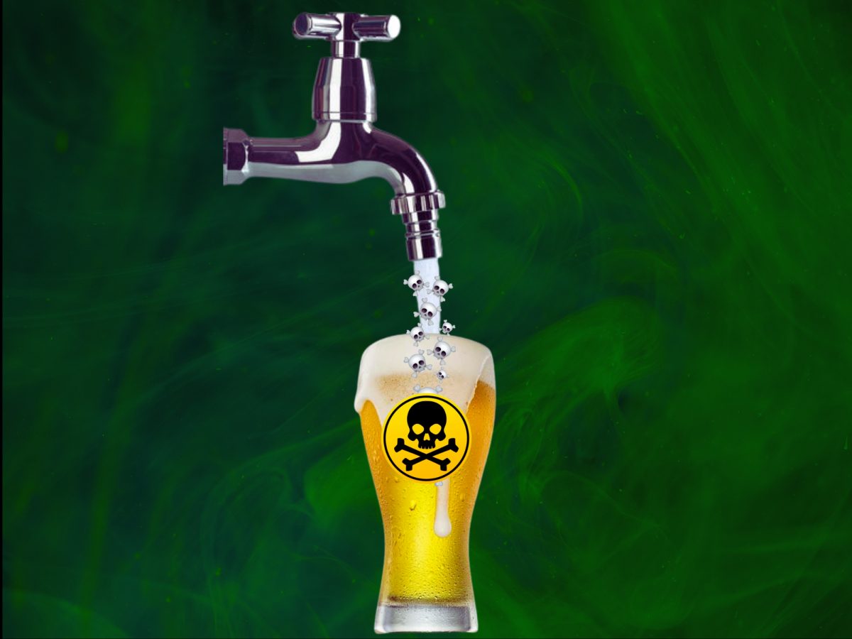 ‘Forever chemicals’ found in beer
