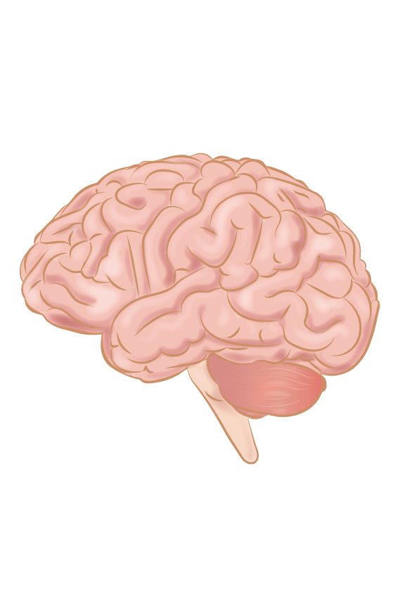 A fading sense of smell could help detect Alzheimer’s early