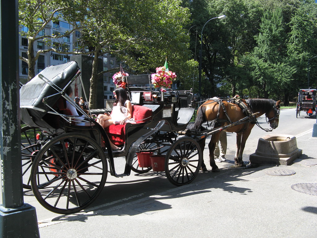 Andrew Batram | Flickr