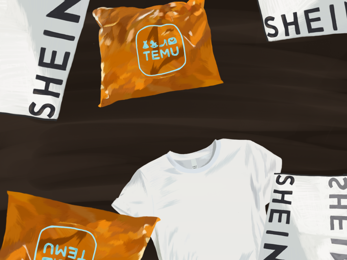 Temu & Shein - Emily Young - Business