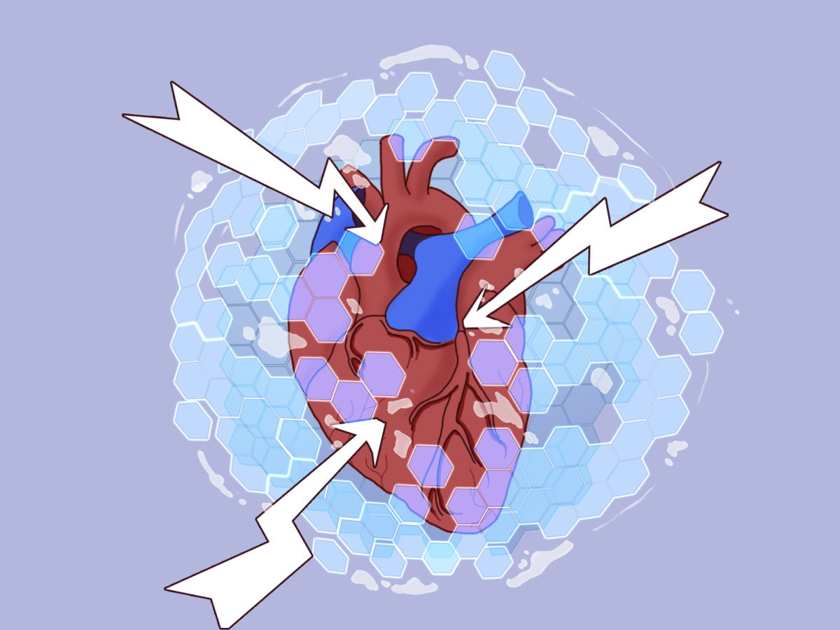 Gut microbe responsible for heart issue