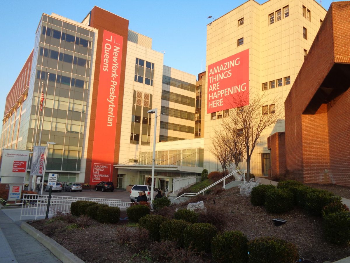 Tdorante10 | Wikimedia Commons