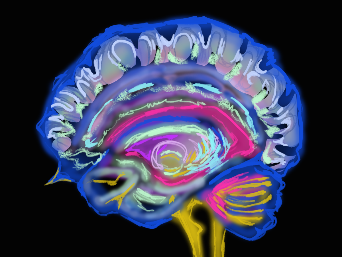 Recent study explores how new understanding of consciousness could possibly affect policies and AI