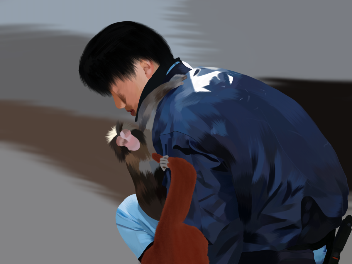 Baby macaque monkey goes viral online for his bond to a plushie