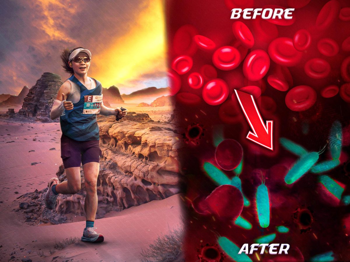 Study says ultramarathons may harm red blood cells