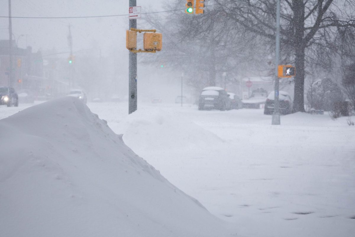 Washington Square Park snowball fight sparks controversy with NYPD