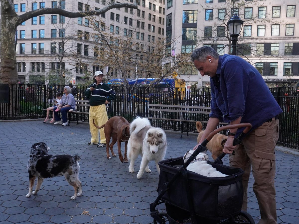 NYS proposes tax credit to ease pet owner costs