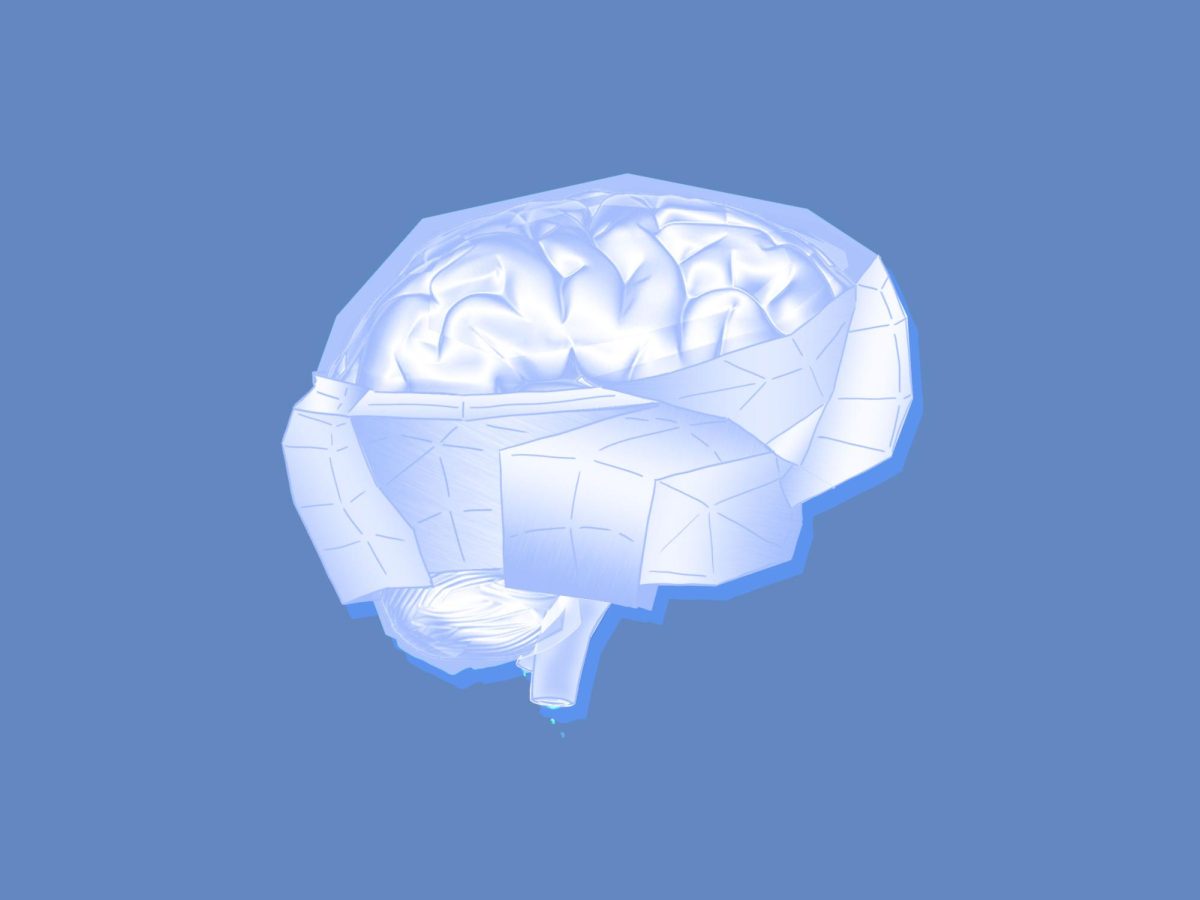 Why the brain may work in patchy ways