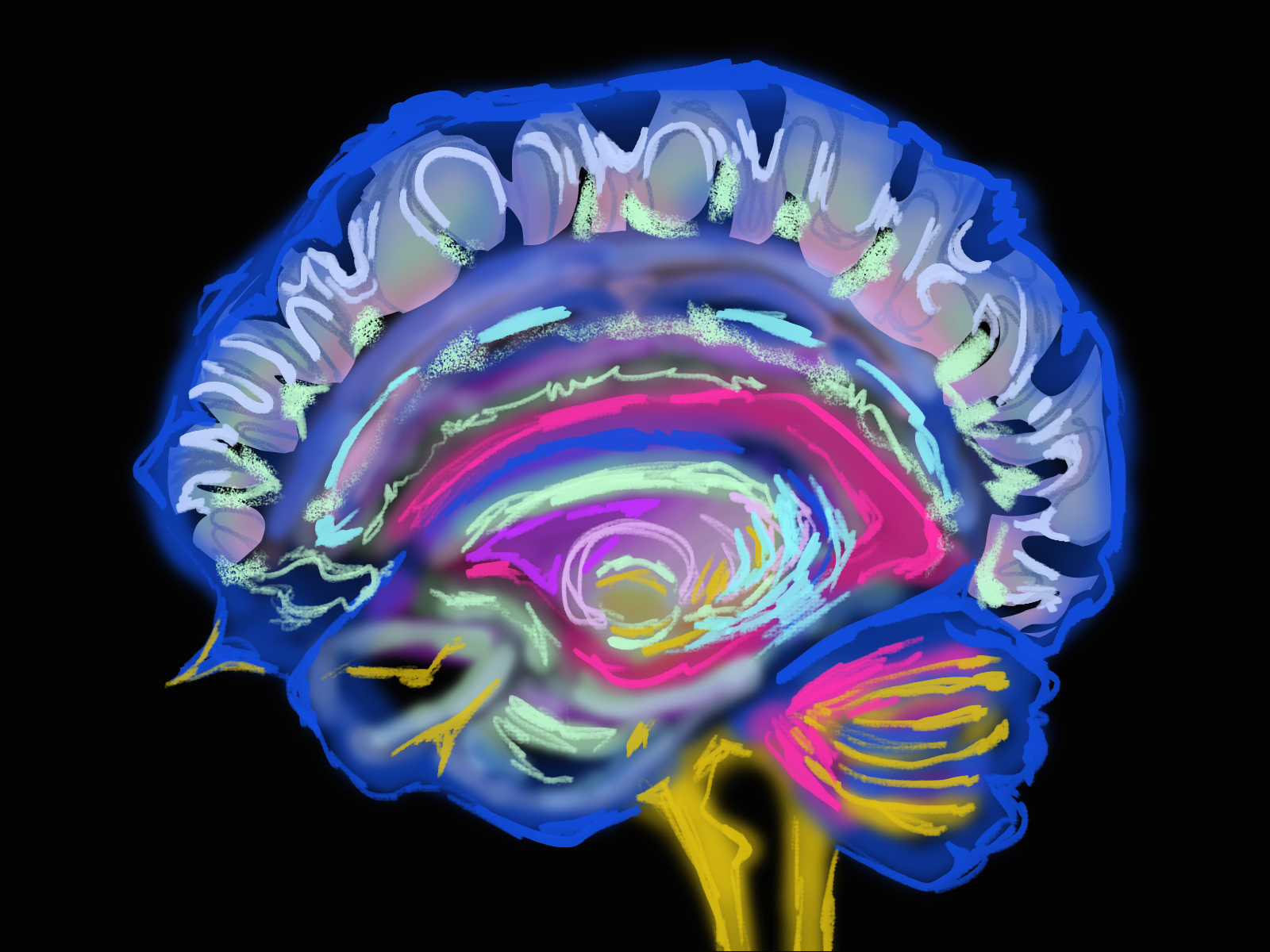 Research links hormone replacement therapy and cognitive health