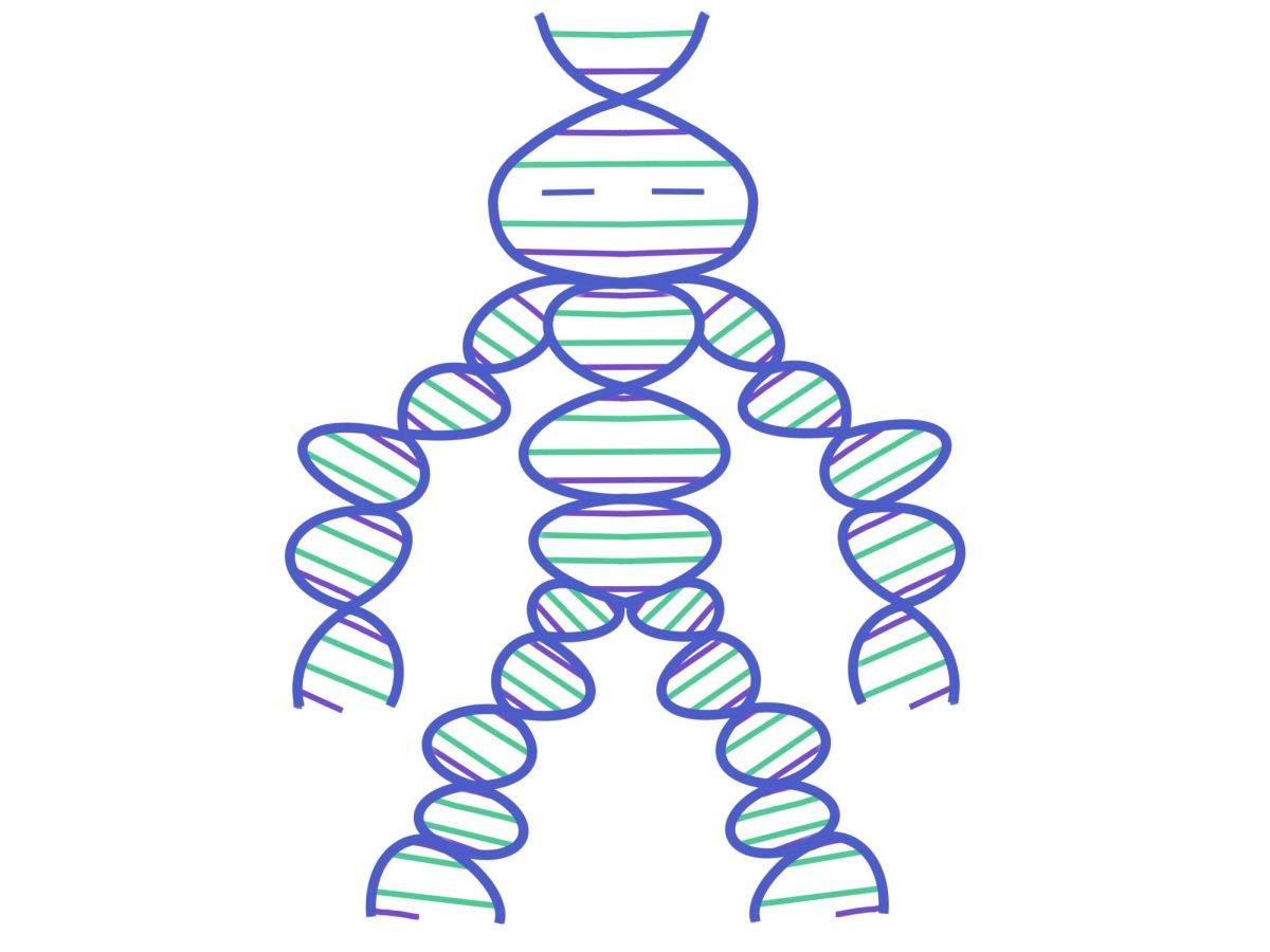Recent study reveals how personality is influenced by small genetic factors