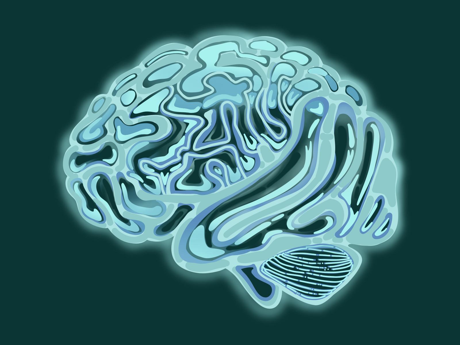 Certain gut bacteria linked to faster brain ageing, UCLA study finds